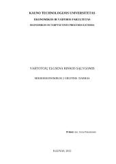 Vartotojų elgsena rinkos sąlygomis
