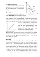 Vartotojų elgsena rinkos sąlygomis 20 puslapis