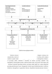Vartotojų elgsena rinkos sąlygomis 5 puslapis