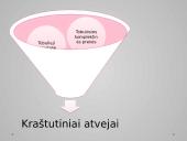 Vartotojų elgsena rinkos sąlygomis skaidrės 12 puslapis