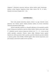 Branduolinio reaktoriaus stabilumas: taškinio modelio analizė 3 puslapis