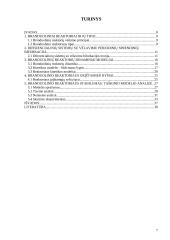 Branduolinio reaktoriaus stabilumas: taškinio modelio analizė 6 puslapis