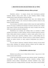 Branduolinio reaktoriaus stabilumas: taškinio modelio analizė 8 puslapis