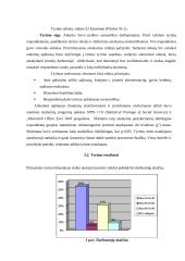 Prekinio kredito rizikos vertinimas 2 puslapis