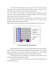 Prekinio kredito rizikos vertinimas 12 puslapis