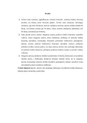 Prekinio kredito rizikos vertinimas 17 puslapis