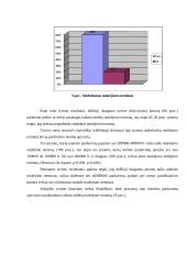 Prekinio kredito rizikos vertinimas 4 puslapis