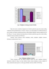 Prekinio kredito rizikos vertinimas 5 puslapis