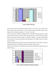 Prekinio kredito rizikos vertinimas 9 puslapis