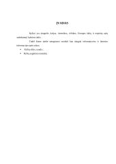 Rašto darbas apie ryžius 2 puslapis