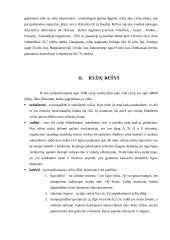 Rašto darbas apie ryžius 4 puslapis