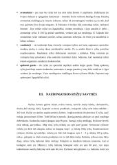 Rašto darbas apie ryžius 5 puslapis