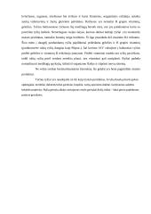 Rašto darbas apie ryžius 6 puslapis