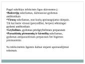 Kraujas ir imunitetas 14 puslapis