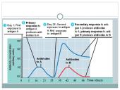 Kraujas ir imunitetas 20 puslapis
