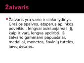 Varis skaidrės 12 puslapis