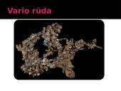 Varis skaidrės 15 puslapis