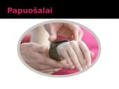 Varis skaidrės 17 puslapis