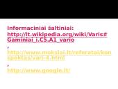 Varis skaidrės 19 puslapis