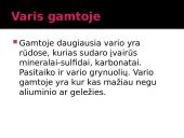 Varis skaidrės 6 puslapis