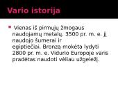 Varis skaidrės 7 puslapis