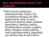 Varis skaidrės 8 puslapis