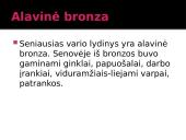 Varis skaidrės 10 puslapis