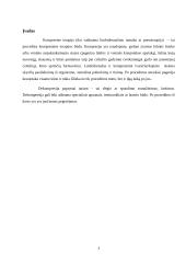 Kompresija, dekompresija. Praktinis pritaikymas reabilitacijoje 3 puslapis