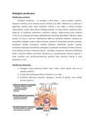 Medžiagų pernašos pro biologines membranas būdai 4 puslapis