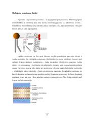 Medžiagų pernašos pro biologines membranas būdai 5 puslapis