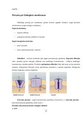 Medžiagų pernašos pro biologines membranas būdai 8 puslapis