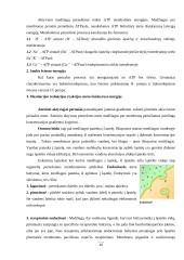 Medžiagų pernašos pro biologines membranas būdai 9 puslapis