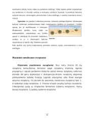 Medžiagų pernašos pro biologines membranas būdai 10 puslapis