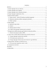 ES viršenybė šalių narių atžvilgiu 2 puslapis