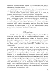 ES viršenybė šalių narių atžvilgiu 12 puslapis