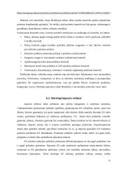 ES viršenybė šalių narių atžvilgiu 15 puslapis