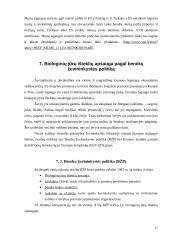 ES viršenybė šalių narių atžvilgiu 17 puslapis