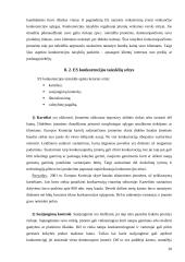 ES viršenybė šalių narių atžvilgiu 20 puslapis