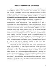 ES viršenybė šalių narių atžvilgiu 5 puslapis