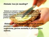 Riebalai chemijos skaidrės 4 puslapis