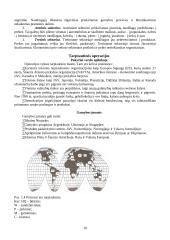 Egzamino klausimai gamybos technologijos 11 puslapis