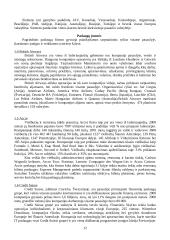 Egzamino klausimai gamybos technologijos 13 puslapis