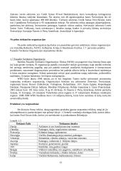 Egzamino klausimai gamybos technologijos 14 puslapis