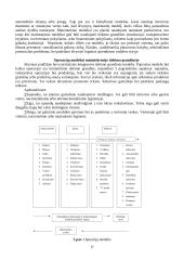 Egzamino klausimai gamybos technologijos 18 puslapis