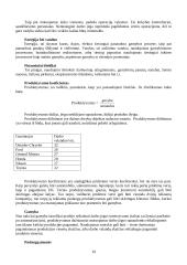 Egzamino klausimai gamybos technologijos 20 puslapis