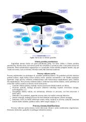 Egzamino klausimai gamybos technologijos 7 puslapis