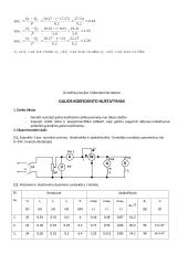 Grandinių teorijos laboratoriniai darbai 13 puslapis