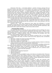 Darbo ir poilsio laikas konspektas 2 puslapis