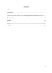 Elektrinis automobilis. Referatas 2 puslapis