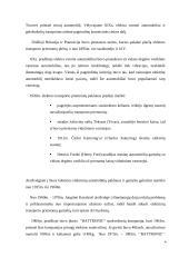 Elektrinis automobilis. Referatas 4 puslapis